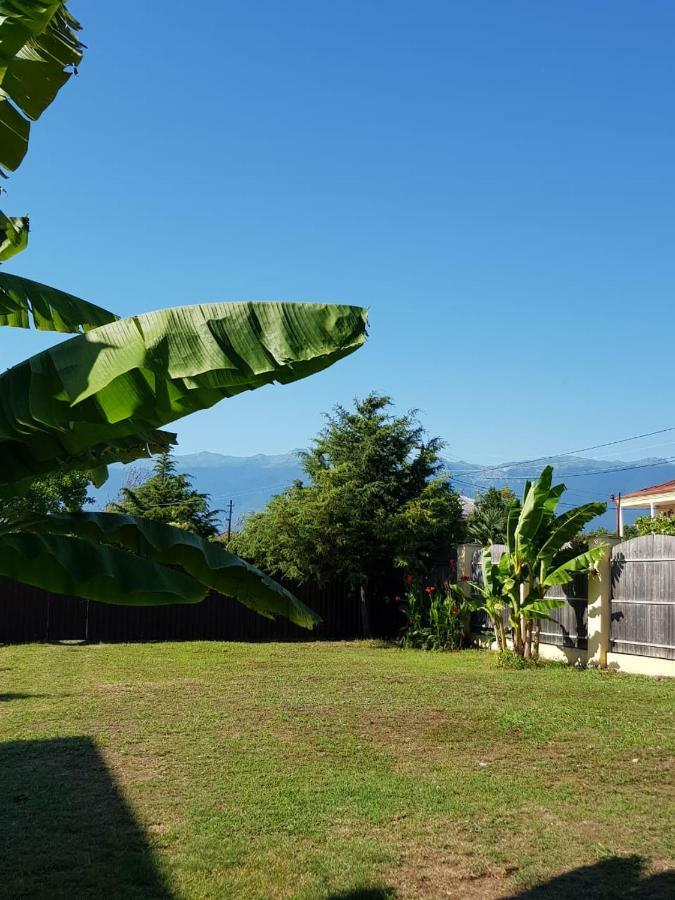 Solnechny Bereg Guest House Gudauta Exterior foto